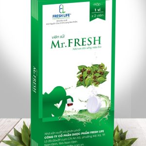 Mr.Fresh